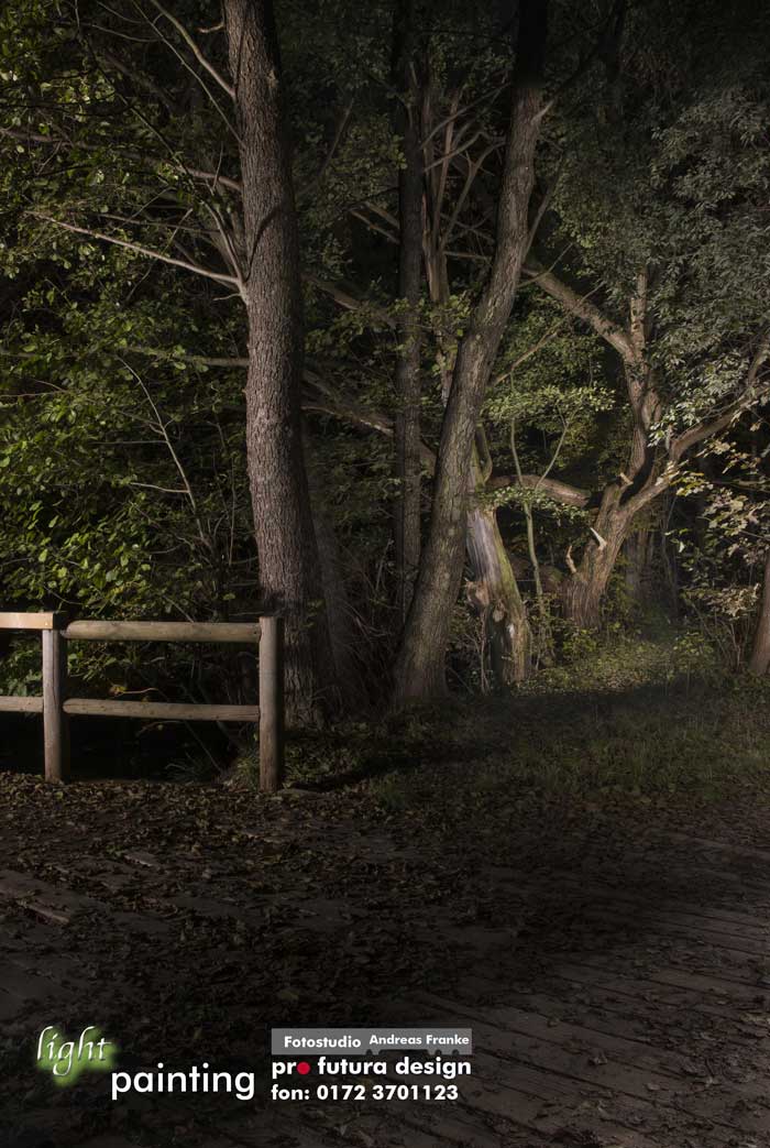 chemnitzer-stadtpark-foto-lightpainting