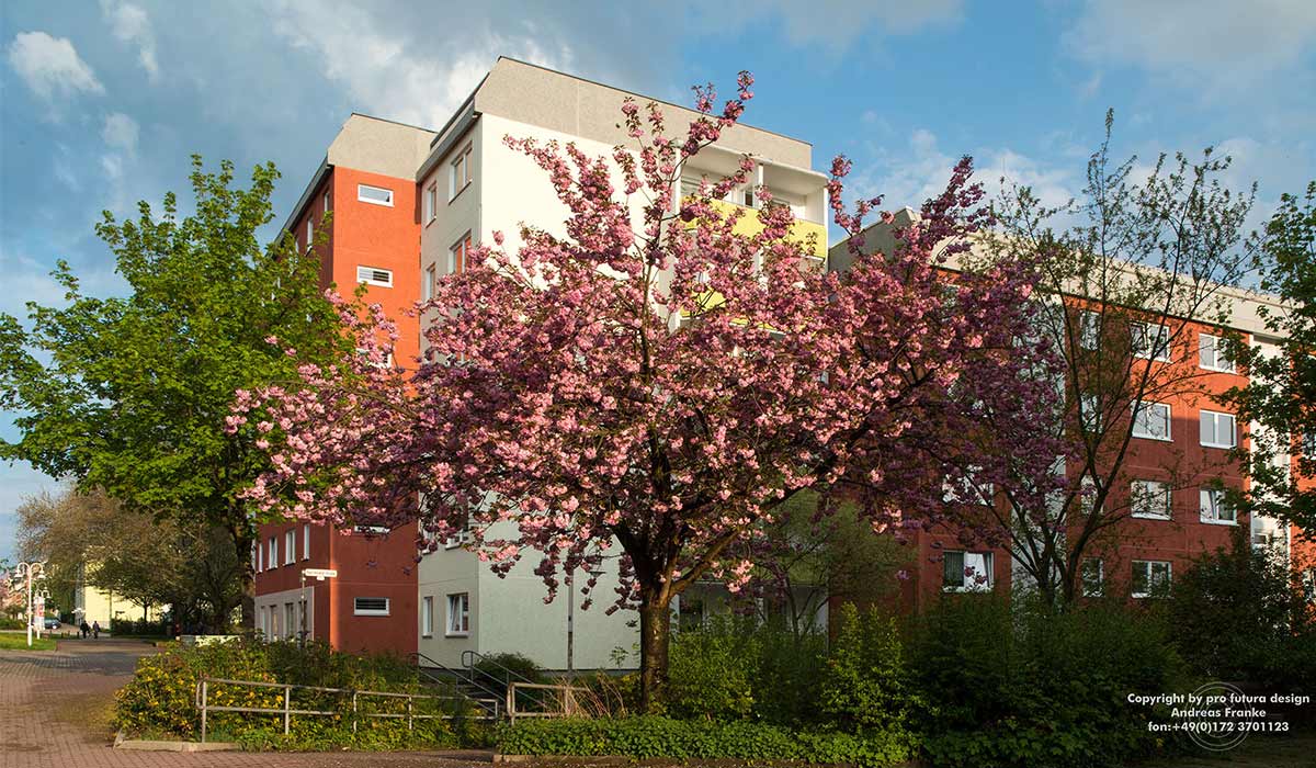 chemnitzer-mehrfamilienhaus-foto-profuturadesign